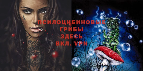 Альфа ПВП Аркадак