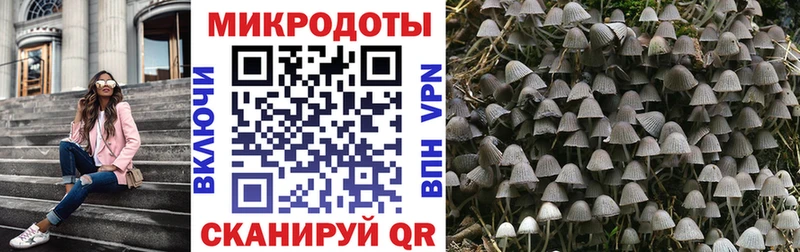 цена   Саки  Псилоцибиновые грибы мухоморы 